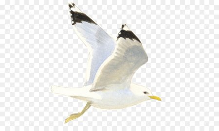 Чайки для скрапбукинга