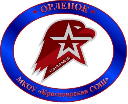 Эмблема Юнармия в школе