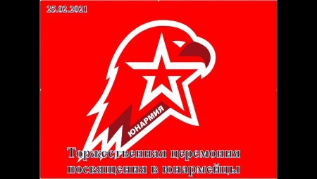 Флаг Юнармия
