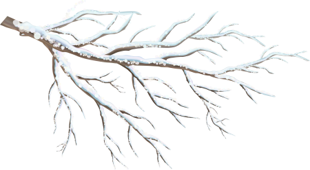 SPEEDTREE Birch
