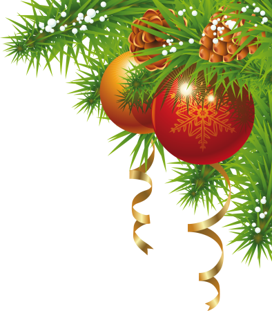 Новогодние еловые ветки