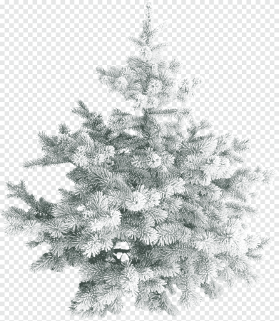 Клипарт елка в снегу (55 фото)