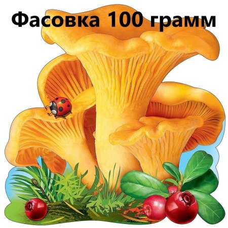 Этикетка грибы лисички