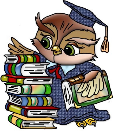 Сова с книгой