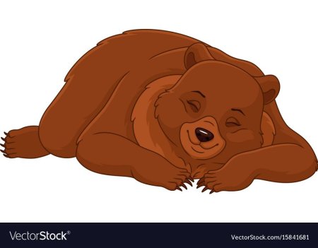 Медведь спит мультяшный