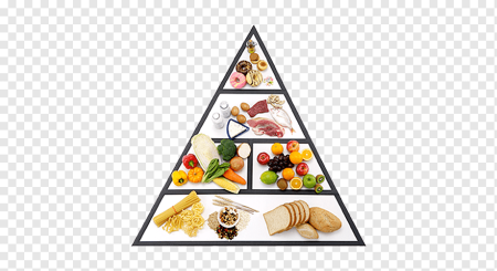 Пирамида правильного питания MYPYRAMID