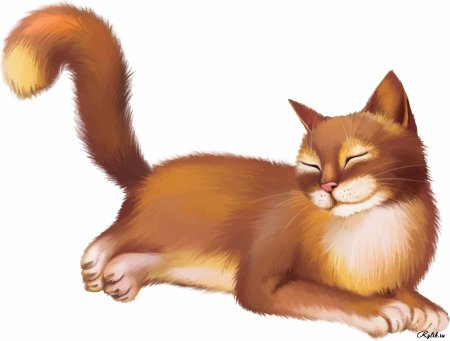 Кошка для детей