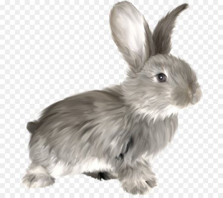 Зайчик серенький