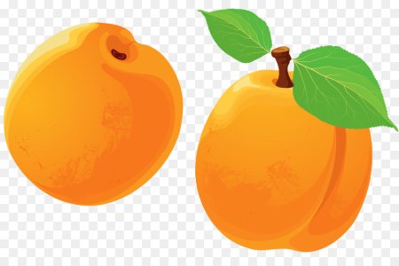 Абрикос мультяшный