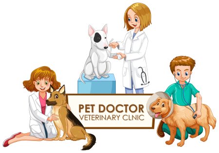 Ветеринар для детей на прозрачном фоне