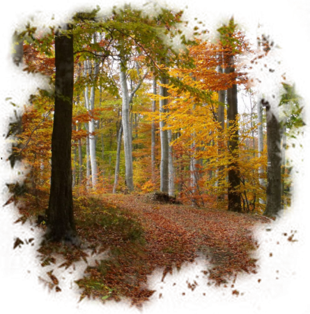 Осенний пейзаж на прозрачном фоне