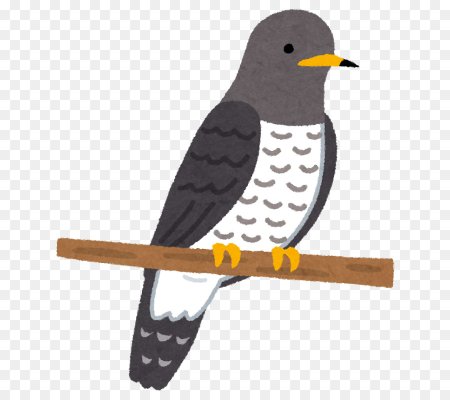 Кукушка рисунок