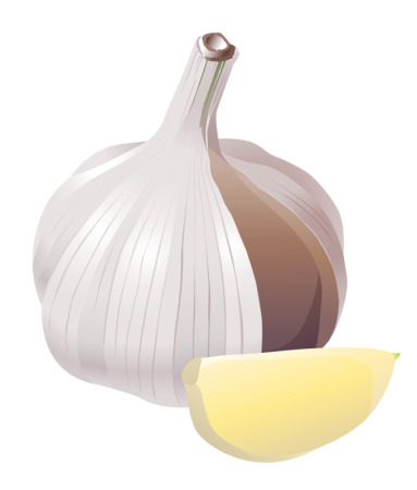 Чеснок картинка для детей на прозрачном фоне