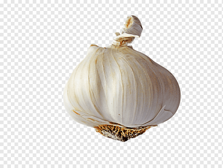 Головка чеснока