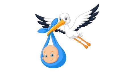 Аист несет ребенка