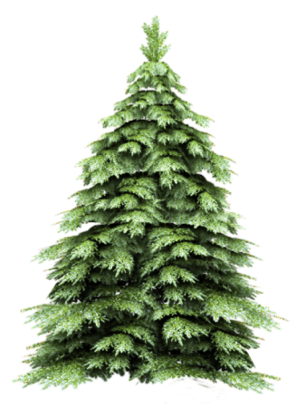 Елка рисунок