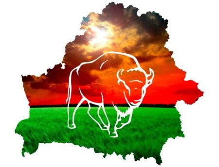 Белорусский флаг развивается