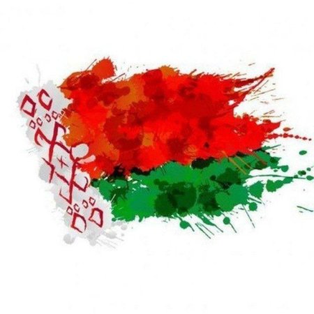 Флаг Беларуси vector