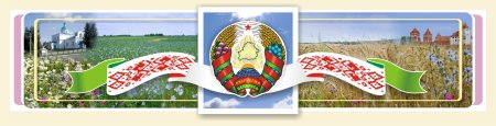Флаг и герб Беларуси 2021