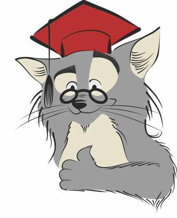 Книга котик
