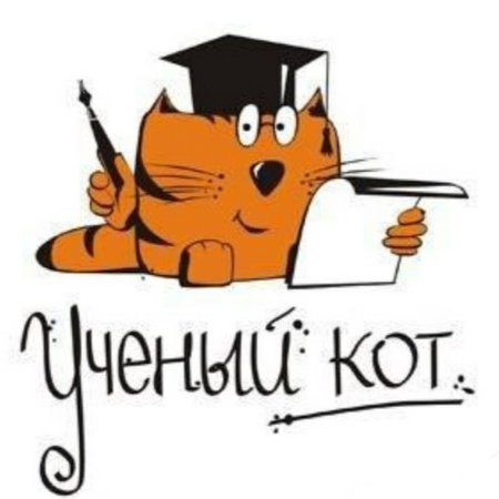Сказочный кот в очках