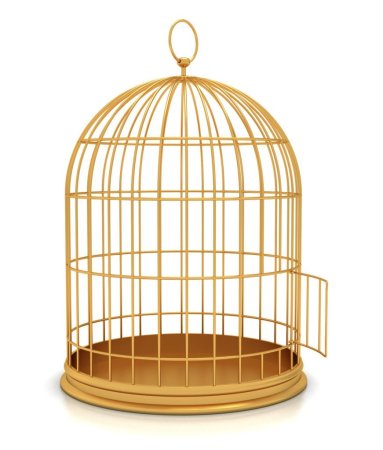 Птичья клетка