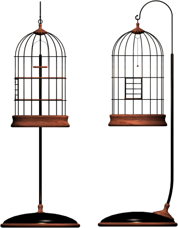 Клетки для рисования