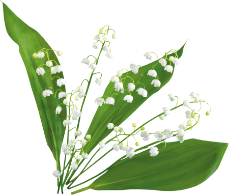 Ландыши "первоцветы"