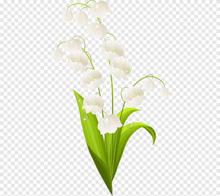 Ландыши без фона