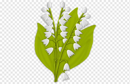 Ландыш для детей