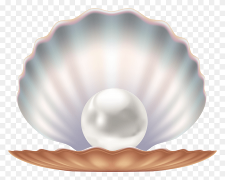 Open Seashell