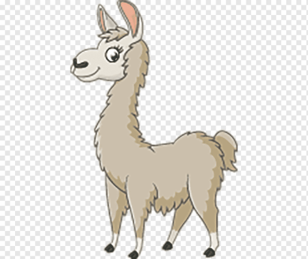 Pink Alpaca