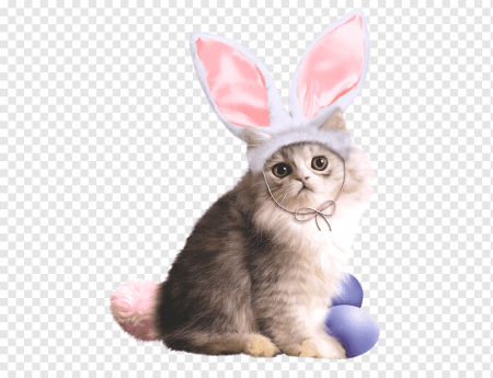 Котик и Зайка