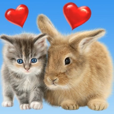 Котенок и Зайчонок любовь