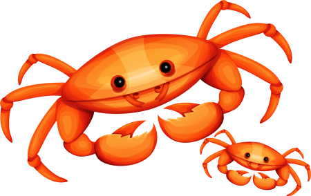 Краб для детей