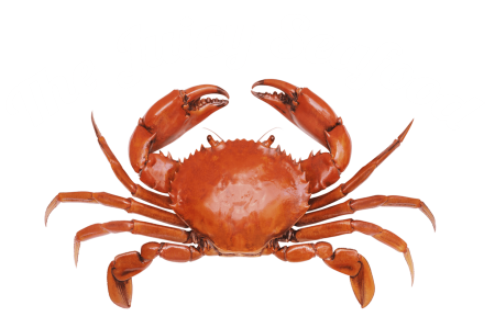 Краб рисунок
