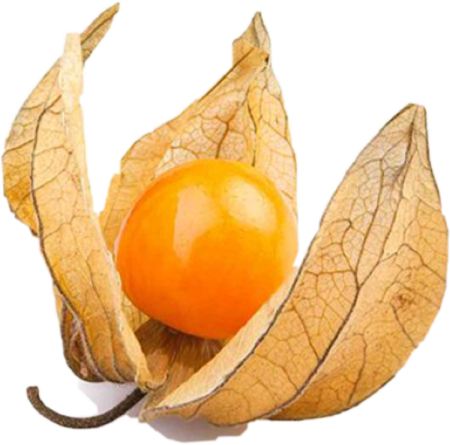 Фазелис фрукт