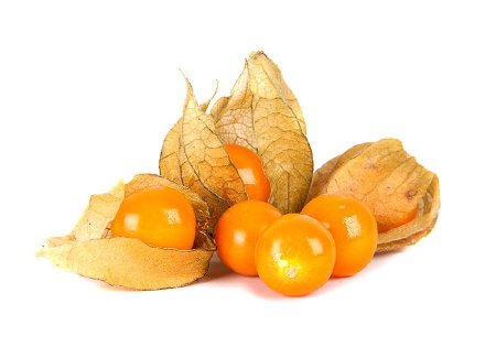 Goldenberry физалис