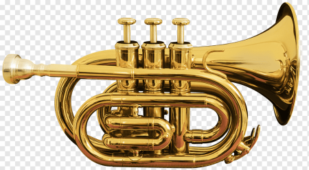 Музыкальный инструмент Cornet