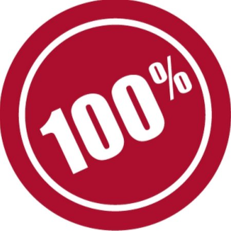 100 Лого