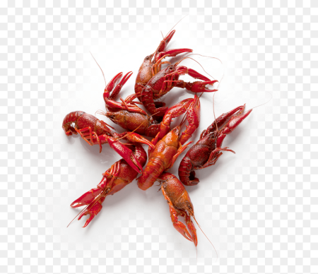 Crawfish Devil