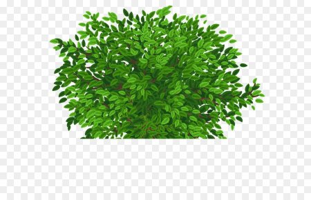 Векторные кусты