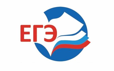 ЕГЭ логотип без фона