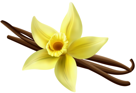 Ваниль без фона