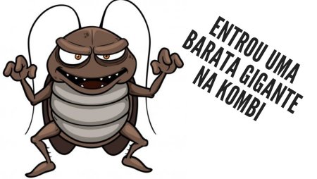 Усатый таракан
