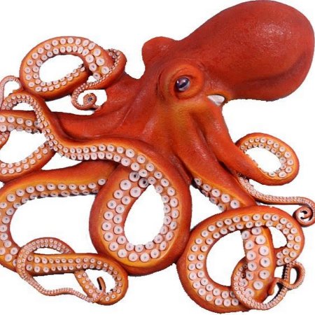 Каракатица мультяшная