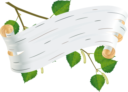 Береста вектор