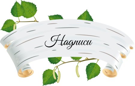 Береста кора березы