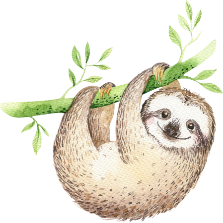 Ленивец рисунок