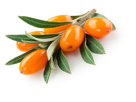 Sea-Buckthorn гроздь